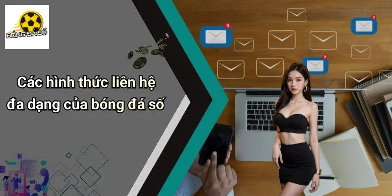 Liên hệ 2 Liên Hệ