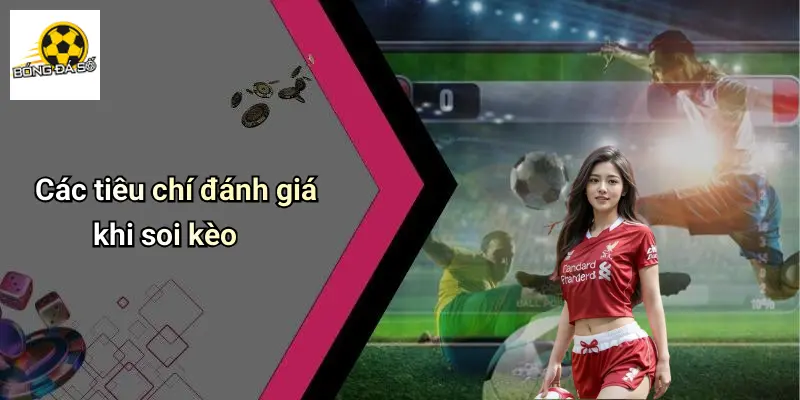 Soi Kèo Trận Đấu Cúp Liên Đoàn Tây Ban Nha: Nhận Định Kèo Hot 2 Soi Kèo Trận Đấu Cúp Liên Đoàn Tây Ban Nha