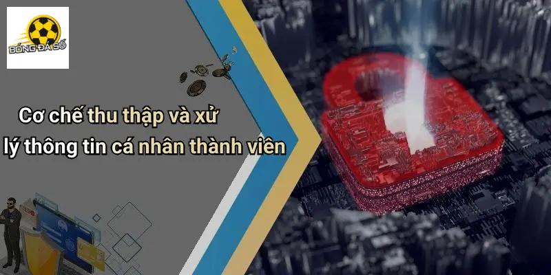 Chính Sách Bảo Mật