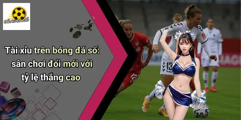 Bóng đá số 71 Bóng Đá Số