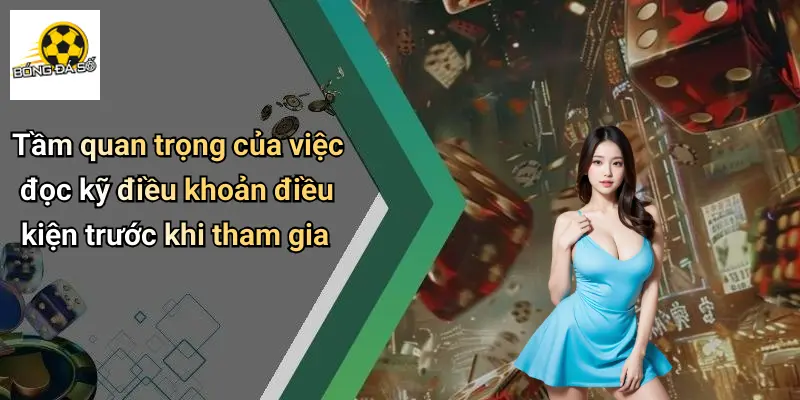 Điều Khoản Điều Kiện
