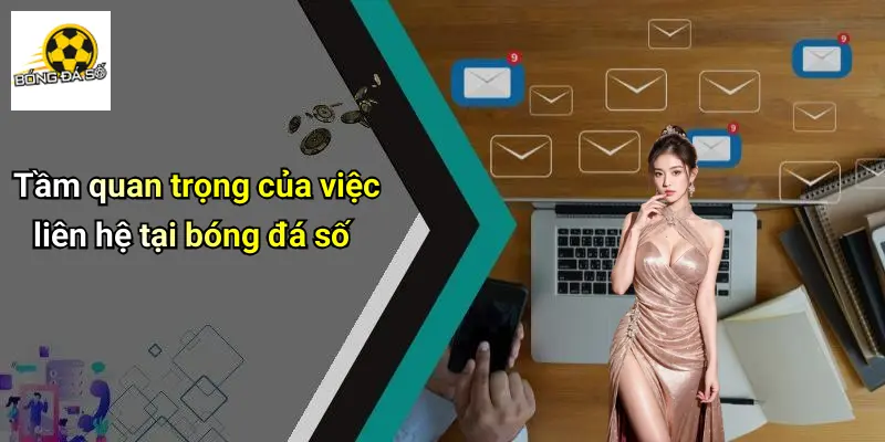 Liên hệ 1 Liên Hệ