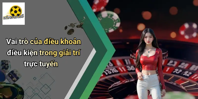 Điều Khoản Điều Kiện