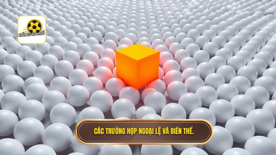 Các trường hợp ngoại lệ và biến thể