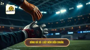 Bóng Đá Số_ Luật ném biên chuẩn