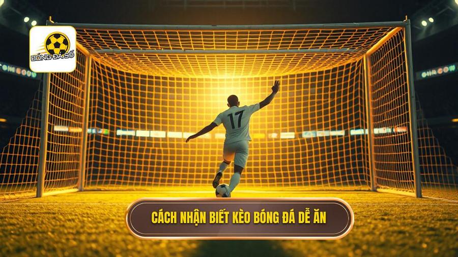 1. Cách nhận biết kèo bóng đá dễ ăn