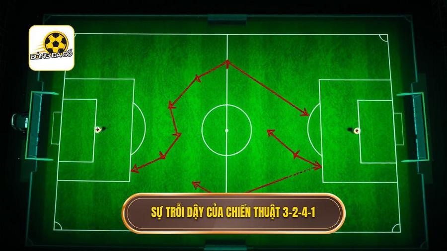 Nguồn gốc và sự trỗi dậy của chiến thuật bóng đá 3-2-4-1