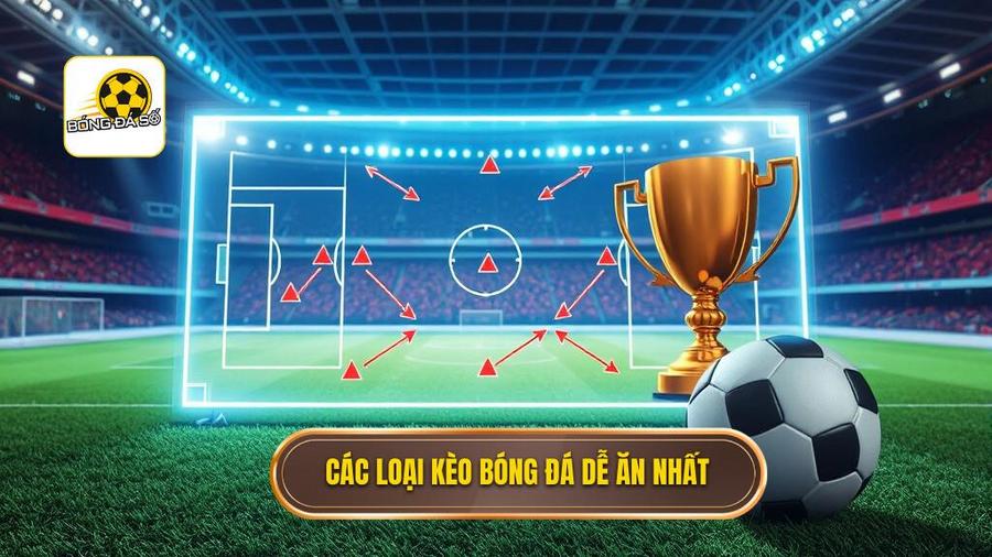 2. Các loại kèo bóng đá dễ ăn nhất