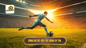Kèo cược tổng số lần tắc bóng thành công: Cẩm nang từ A-Z